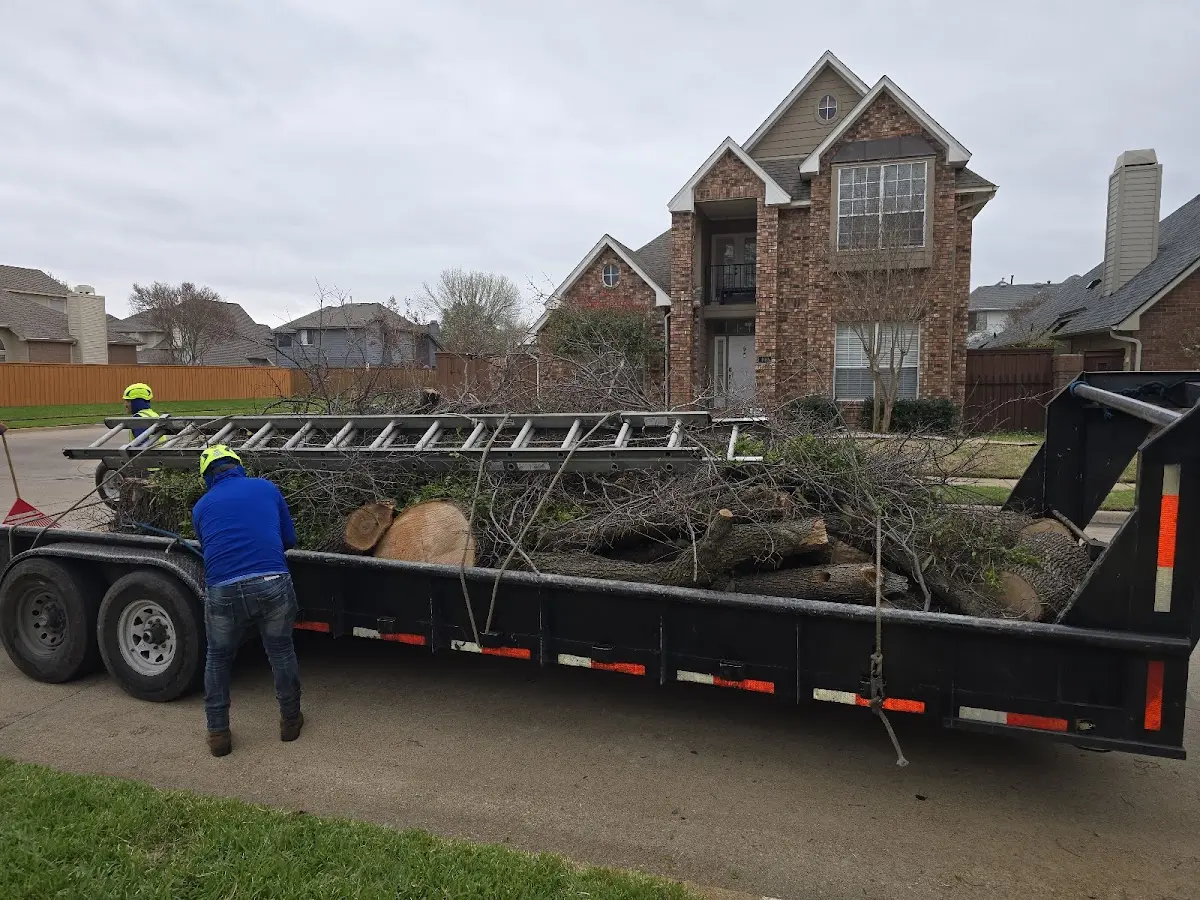 Expert Tree Removal with proper safety equipment in Blodgett Mills